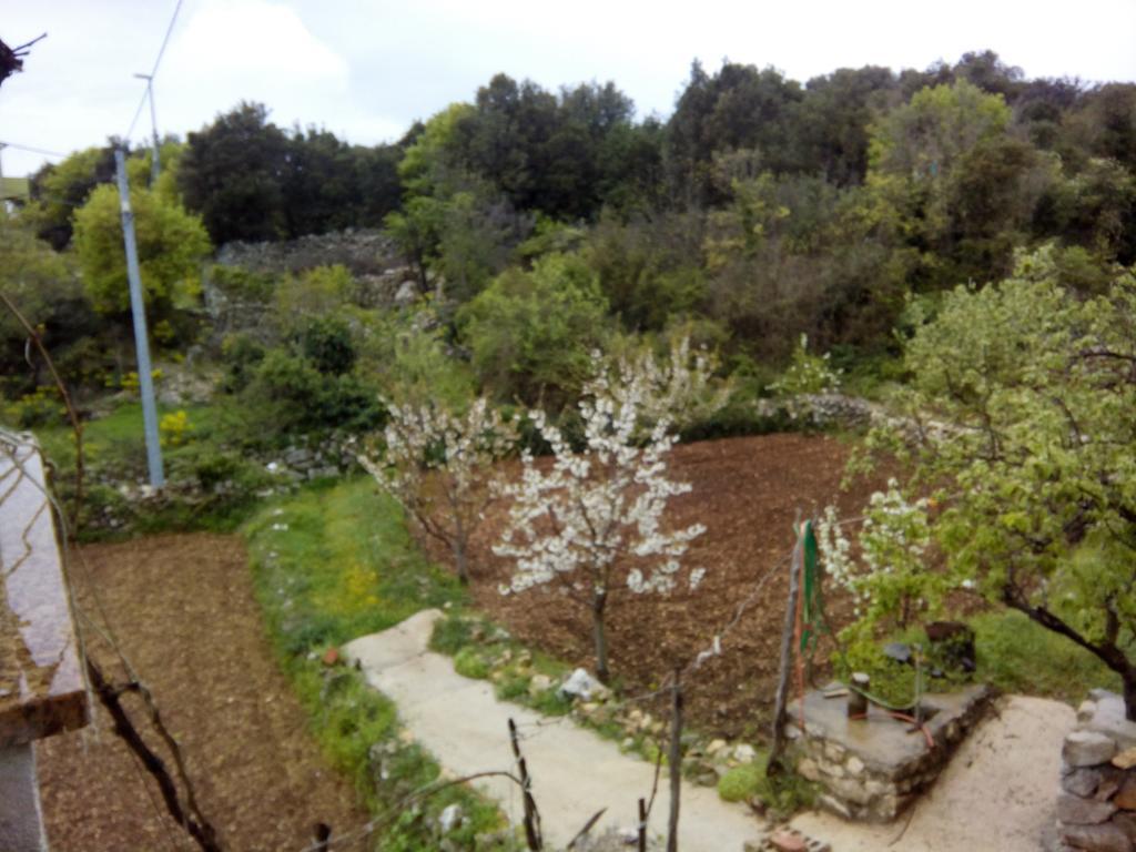 Holiday Home Loznati Црес Екстер'єр фото