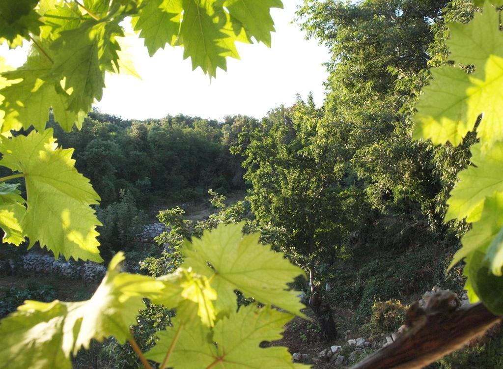 Holiday Home Loznati Црес Екстер'єр фото