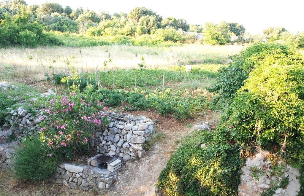 Holiday Home Loznati Црес Екстер'єр фото