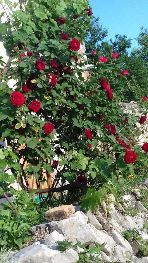 Holiday Home Loznati Црес Екстер'єр фото